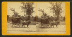 Wagon with "A. Wilson, Baker, Lawrence" on the canopy.