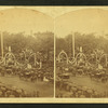 Decorations of Ladd & Whitney Monument.