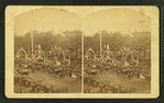 Decorations of Ladd & Whitney Monument.