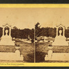 View in Pine Grove Cemetery.