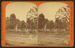 Washington square and Nahant Street.
