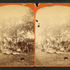View of a group camping.