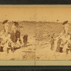 Group on a beach, some with umbrellas.