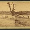 Unidentified view with lake, shore, trees, and house in the background.