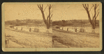 Unidentified view with lake, shore, trees, and house in the background.