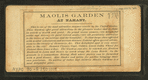 Maolis Garden at Nahant.