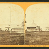 View in Maolia Garden, Nahant.