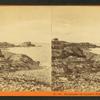 The shores of Nahant, Mass, Castle rock and Egg rock light.