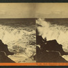Surf breaking on the rocks, Nahant, Mass.