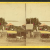 Nahant.
