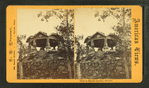 View in Maolis Garden, Nahant.