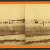 View of people on the beach.