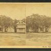 View on County Park.