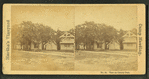 View on County Park.