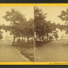 Commonwealth Avenue.