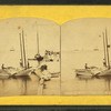 Scene at Martha's Vineyard, Mass.