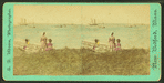 View on Oak Bluffs.