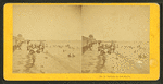 Bathers at Oak Bluffs.