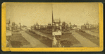 View on Ocean Ave., O.B.