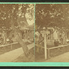 Mr. Sage's cot., yard, &c.