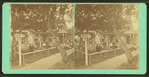Mr. Sage's cot., yard, &c.
