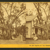 Clinton Av., from Spinney's, camp ground.