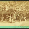 People posing in front of Vine Cottage.