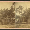 View of a cottage, trees in front, people on porch.