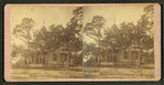 View of a cottage, trees in front, people on porch.