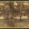 Speaker's stand with benches.