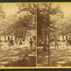 Croquet game in progress under trees.
