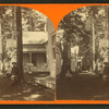 View of cottages, with people sitting and standing.