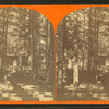 Speaker's stand with benches, speaker at lectern.