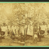 Cottage and yard decorated with bunting.
