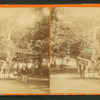 People posing under a tree.