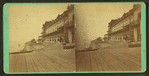 View from a boardwalk.