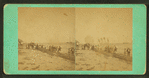 People on the beach.