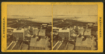 Bird's-eye view of Nantucket.