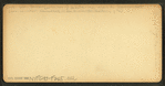 Capt. Wm. Baxter in his wagon, delivering mail to Siasconset.