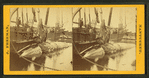 Taking the blubber off a whale at Nantucket.