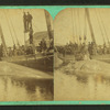Taking the blubber off a whale at Nantucket.
