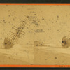 View of the W.F. Marshall wreck.