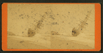 View of the W.F. Marshall wreck.