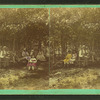 People sitting on benches in a park.