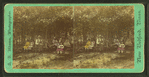 People sitting on benches in a park.