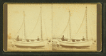 [A couple and their ketch-rigged sailboat, on dry land.]