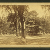 View of a tree-lined street.