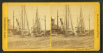 Walnut St. Wharf.