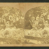 Group of picnickers lounging in a yard.