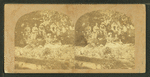Group of picnickers lounging in a yard.